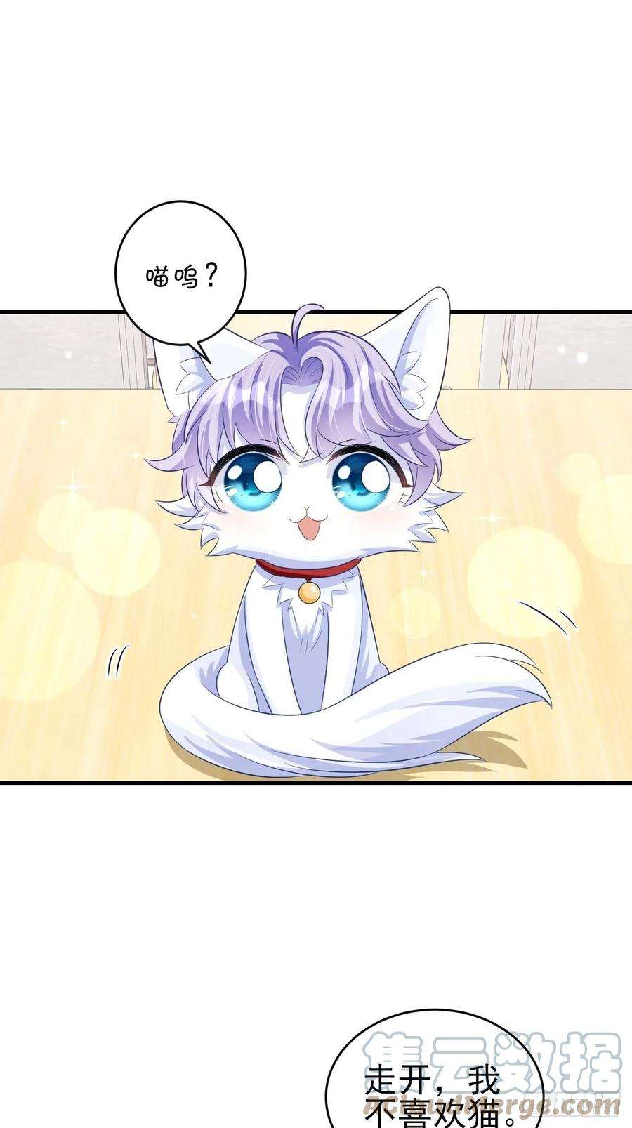 我怀疑影帝在钓我随机掉落的番外-猫咪