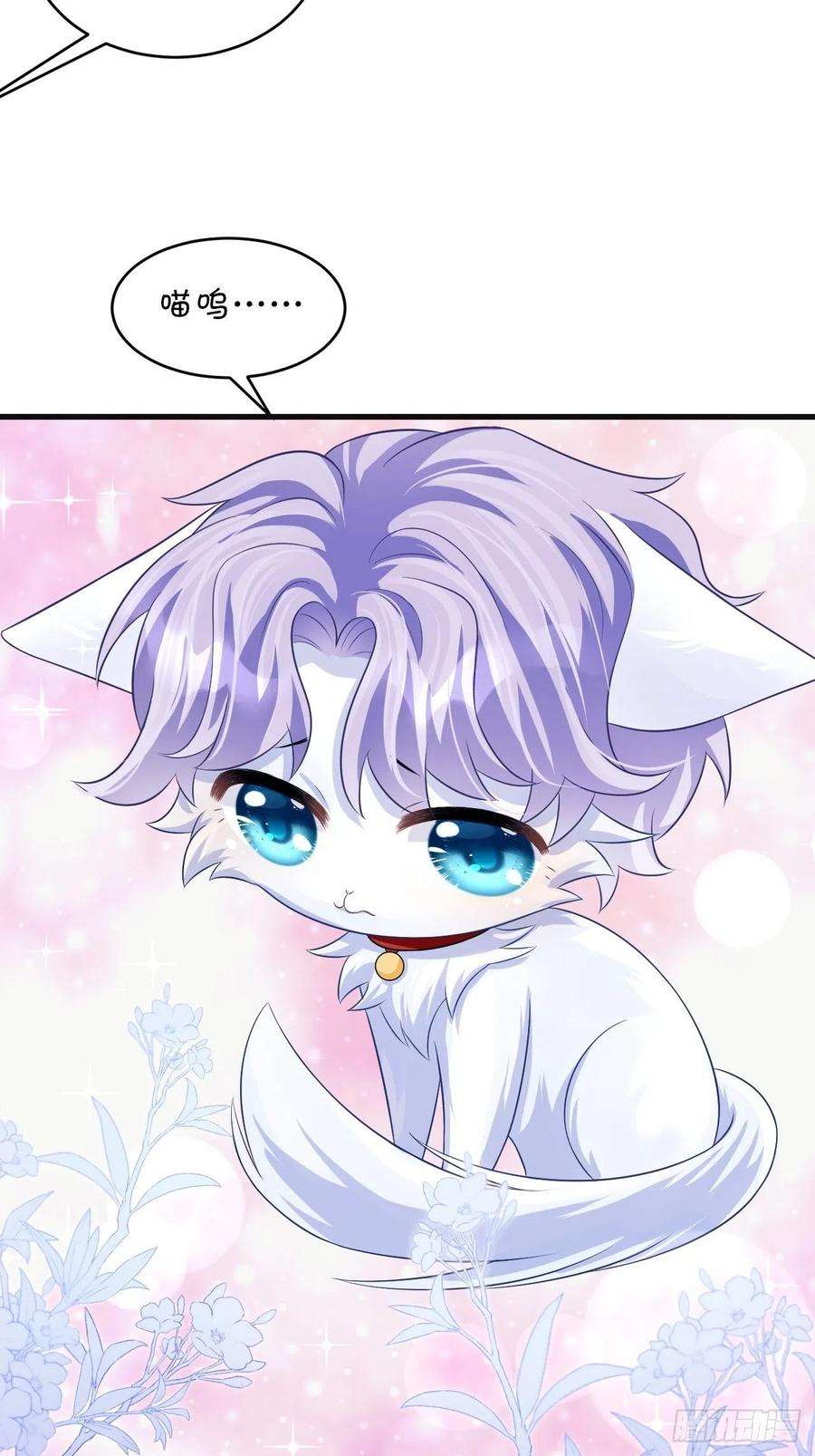 我怀疑影帝在钓我随机掉落的番外-猫咪