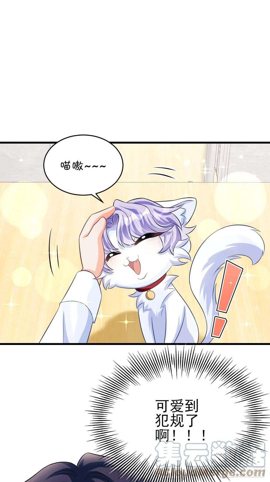 我怀疑影帝在钓我随机掉落的番外-猫咪