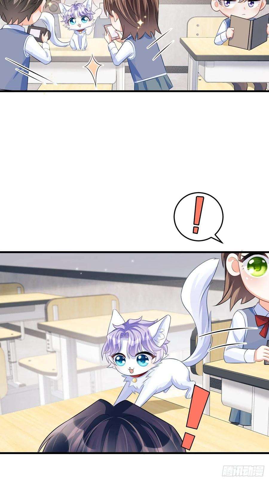 我怀疑影帝在钓我随机掉落的番外-猫咪