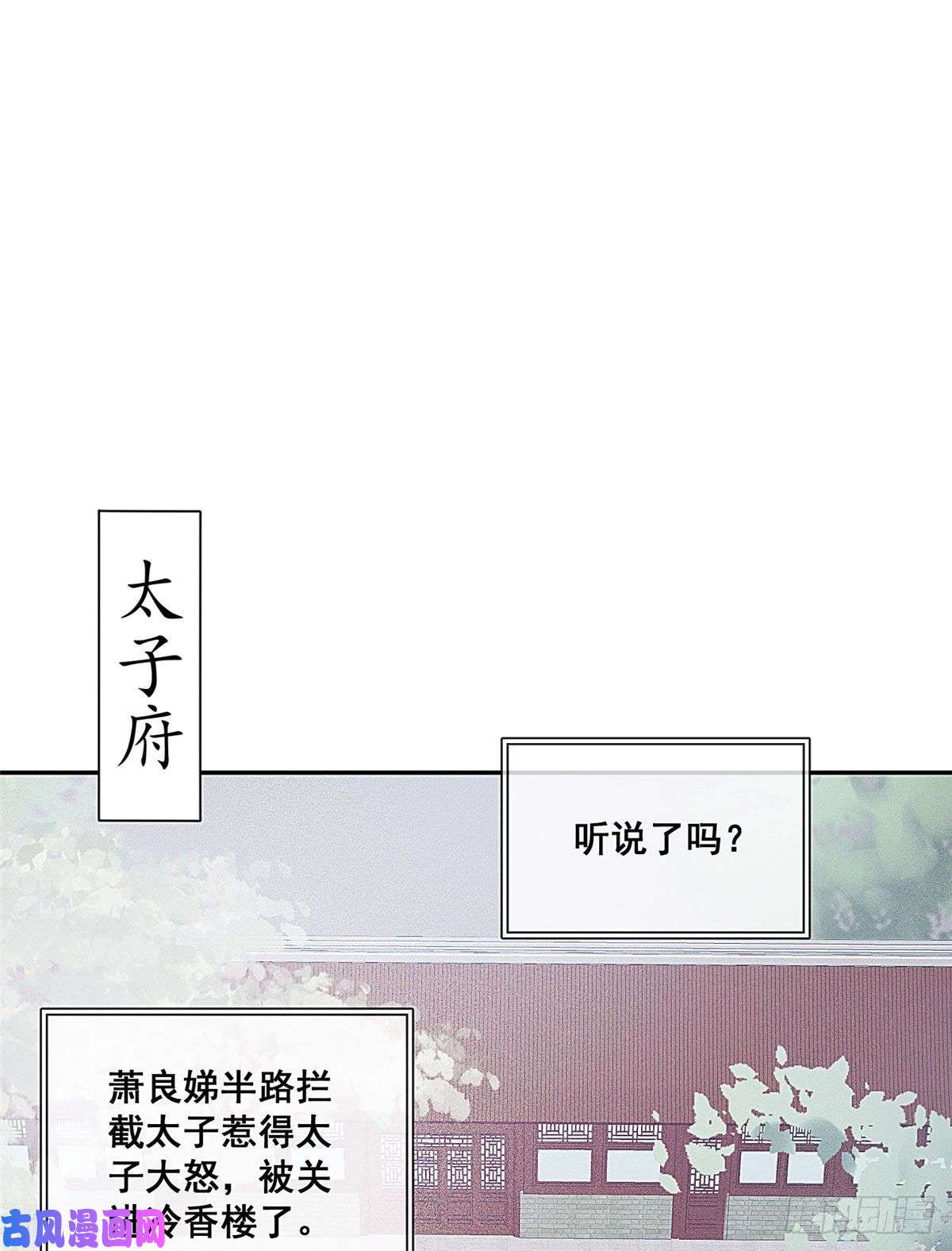 贵妃每天只想当咸鱼预告