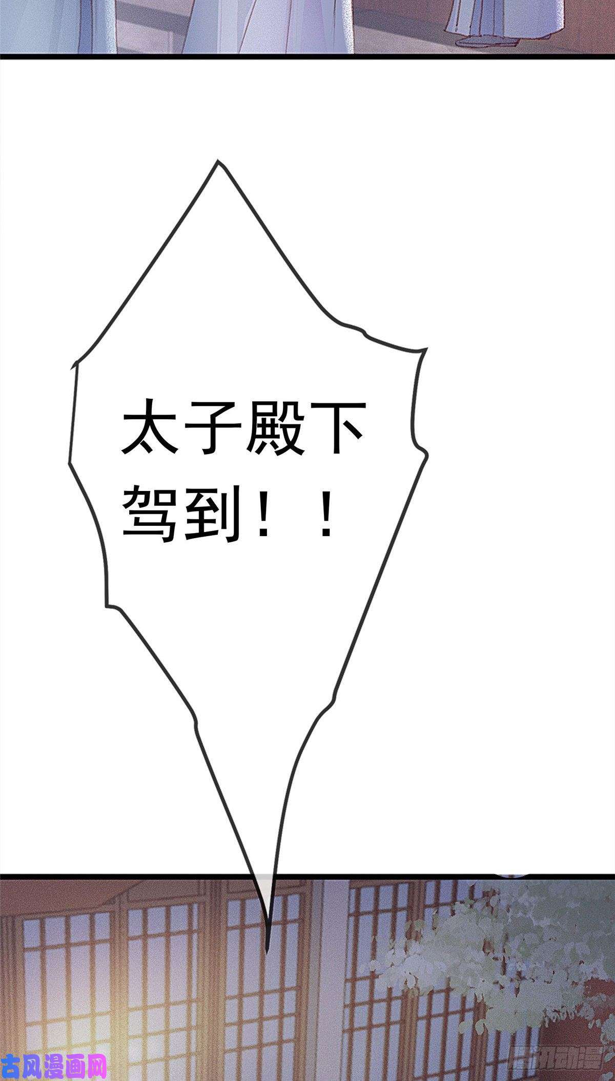 贵妃每天只想当咸鱼002