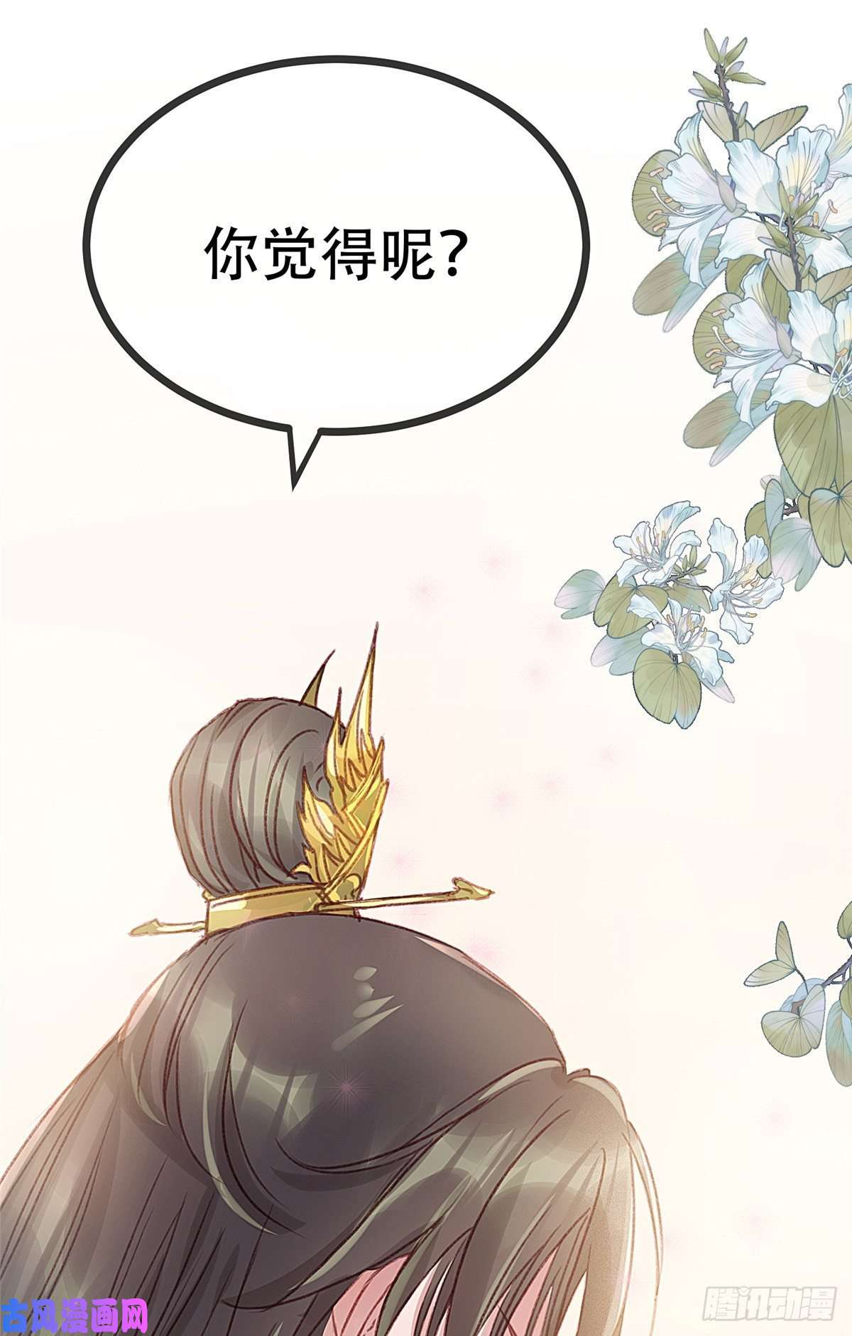 贵妃每天只想当咸鱼003