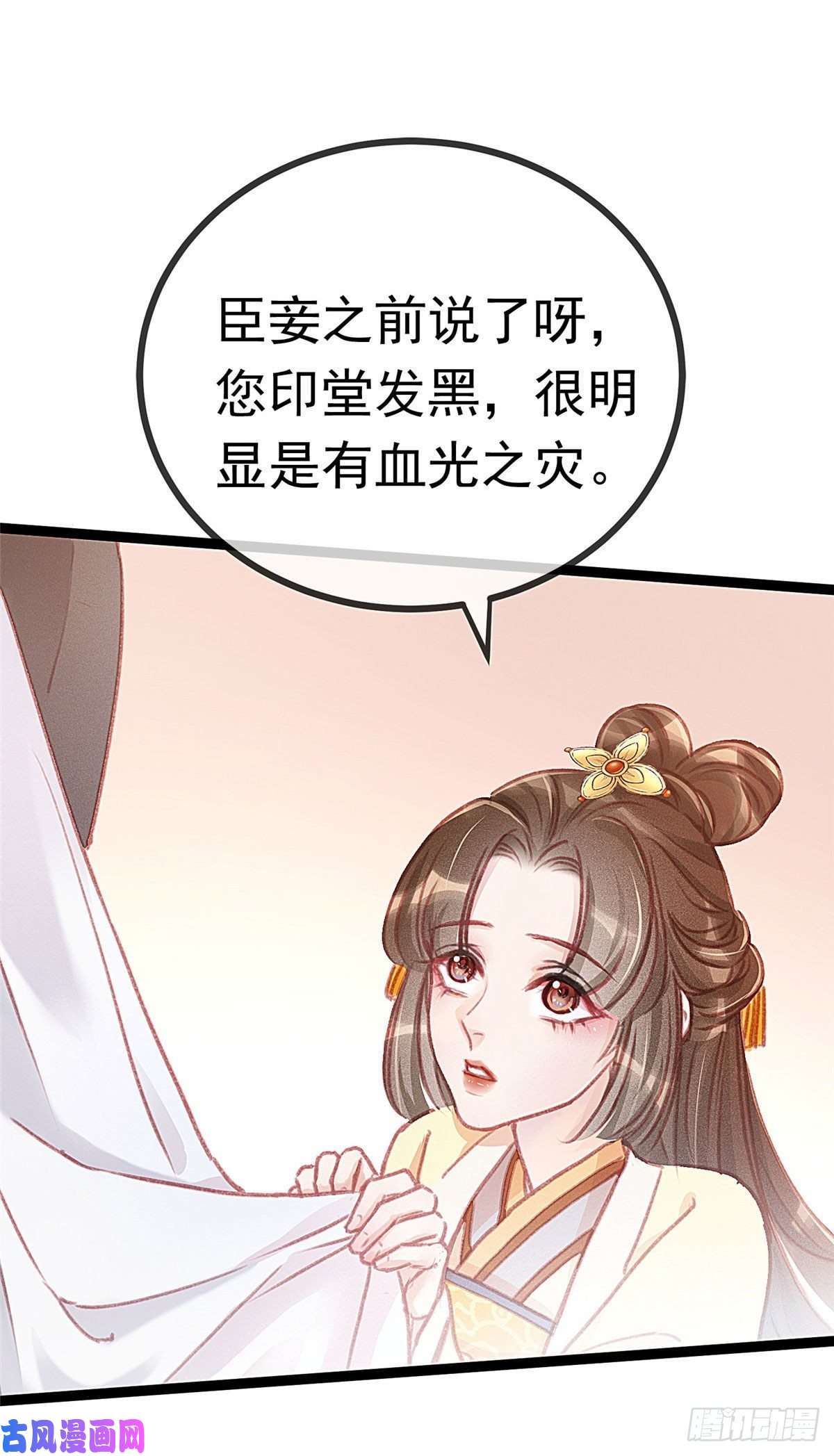 贵妃每天只想当咸鱼004