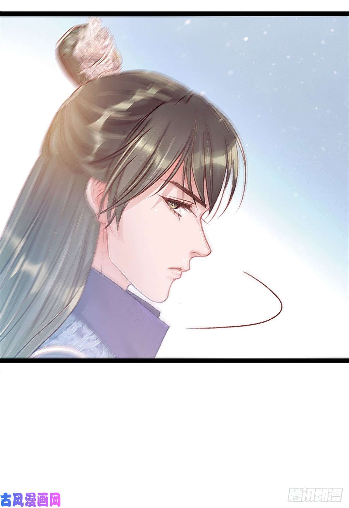 贵妃每天只想当咸鱼009