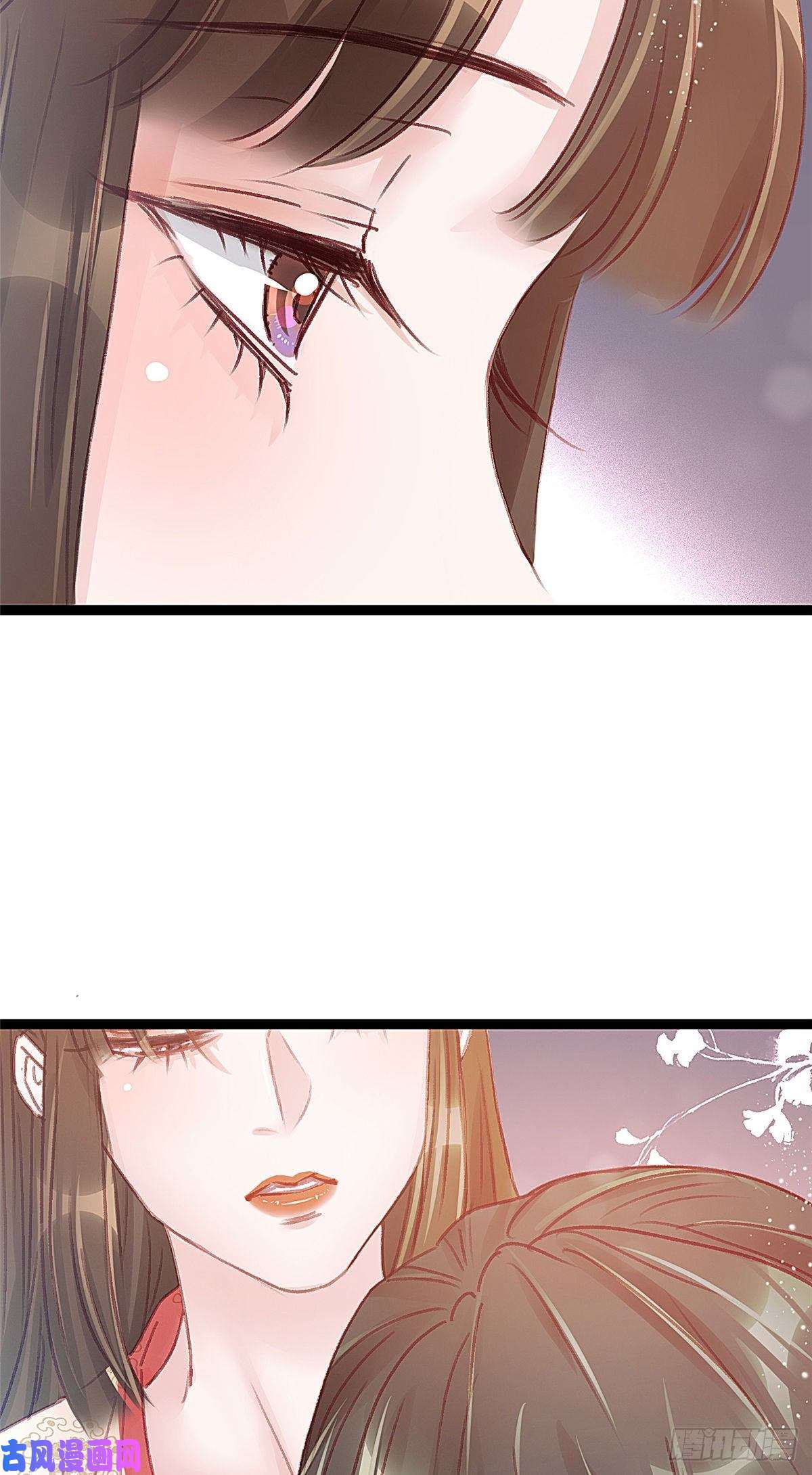 贵妃每天只想当咸鱼025
