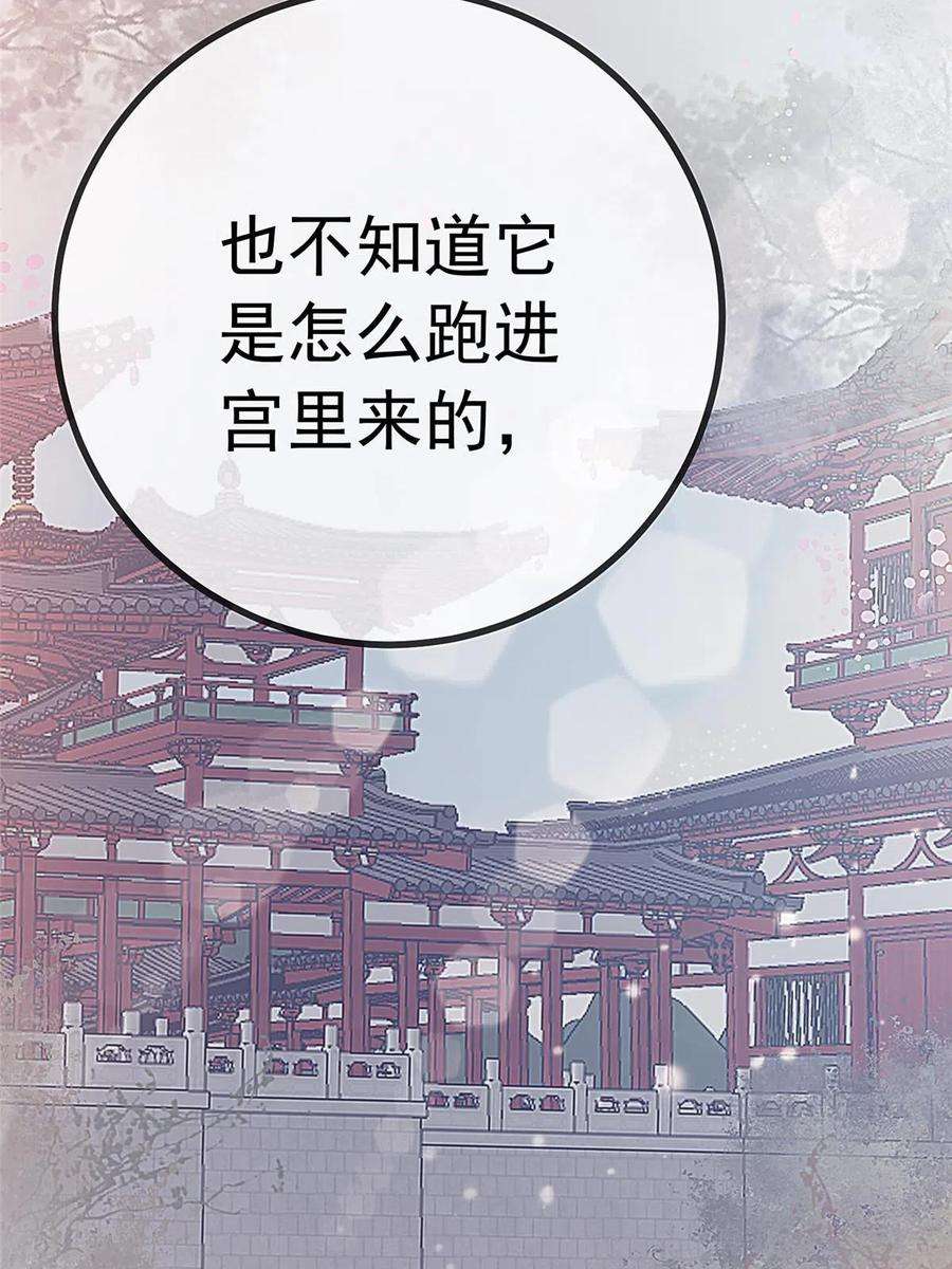 贵妃每天只想当咸鱼044