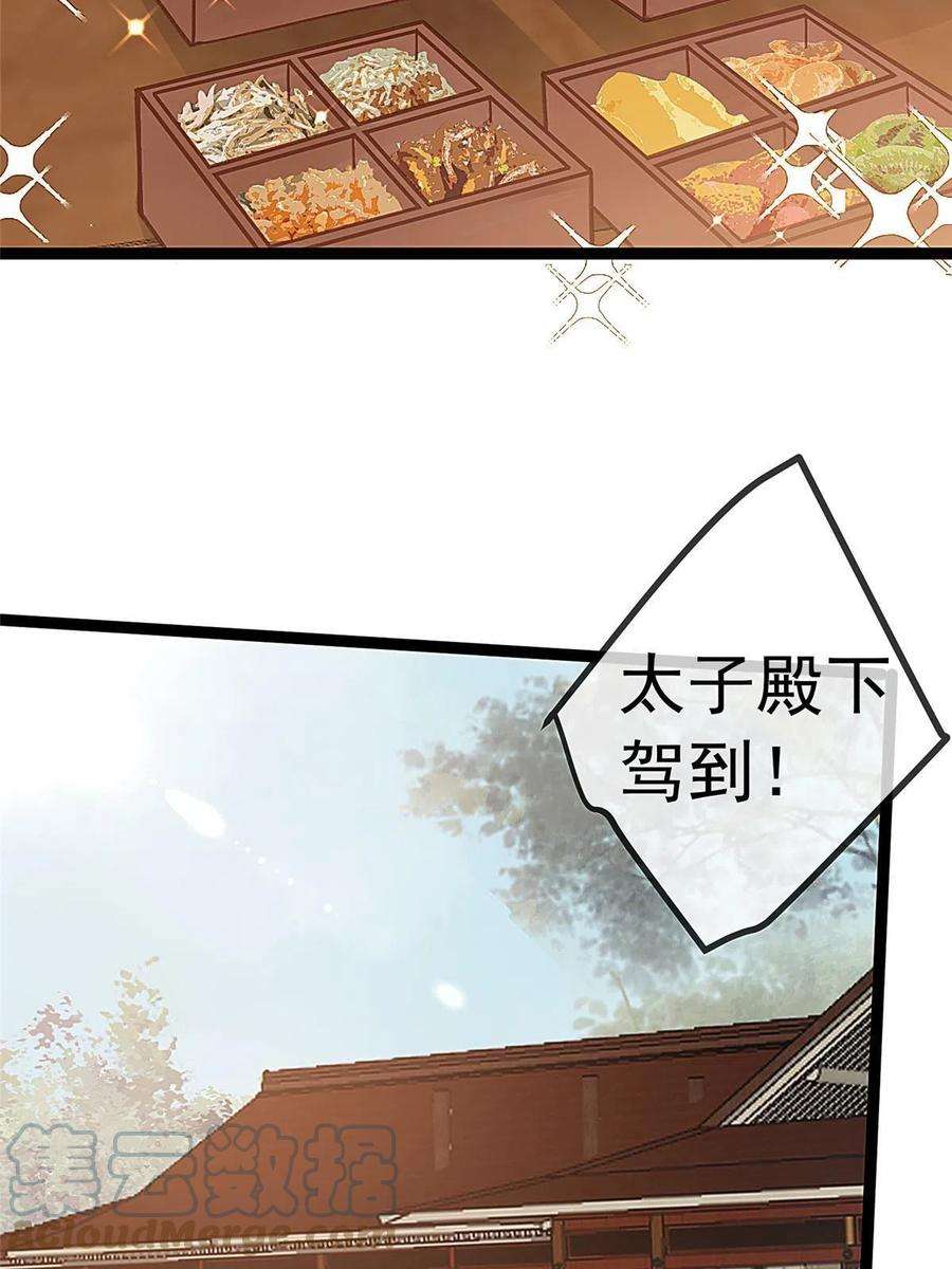 贵妃每天只想当咸鱼045
