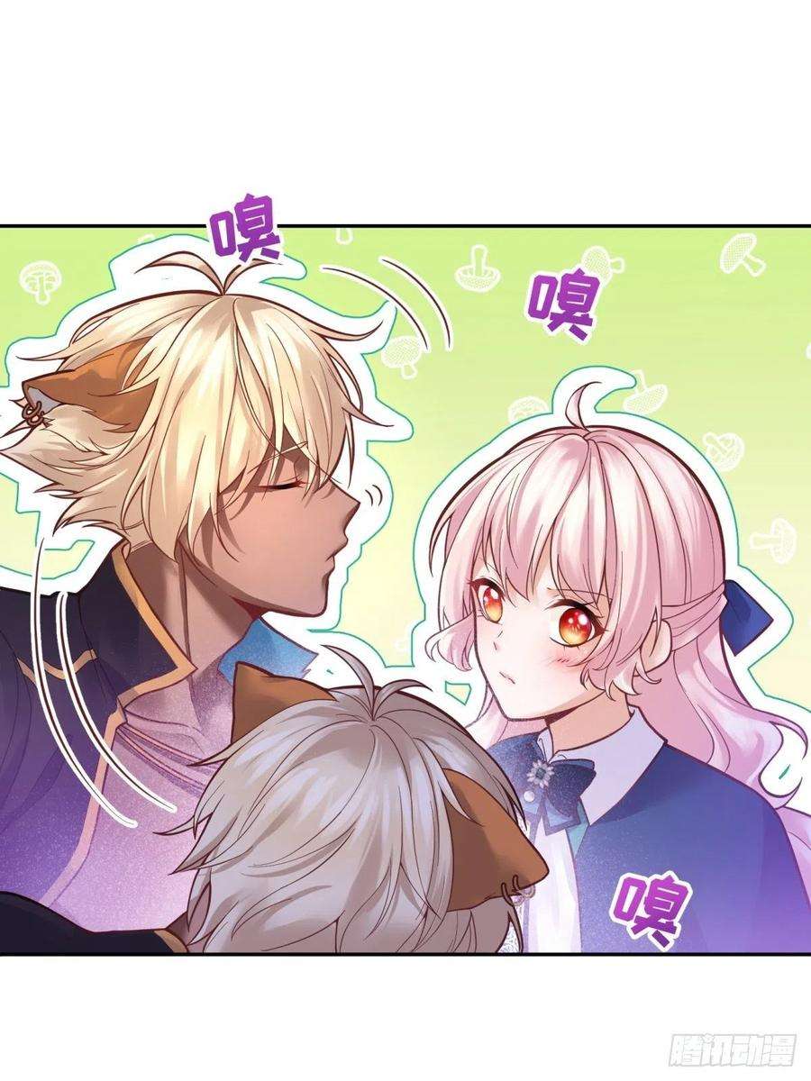 反派魔女自救计划84-不惜一切找到你