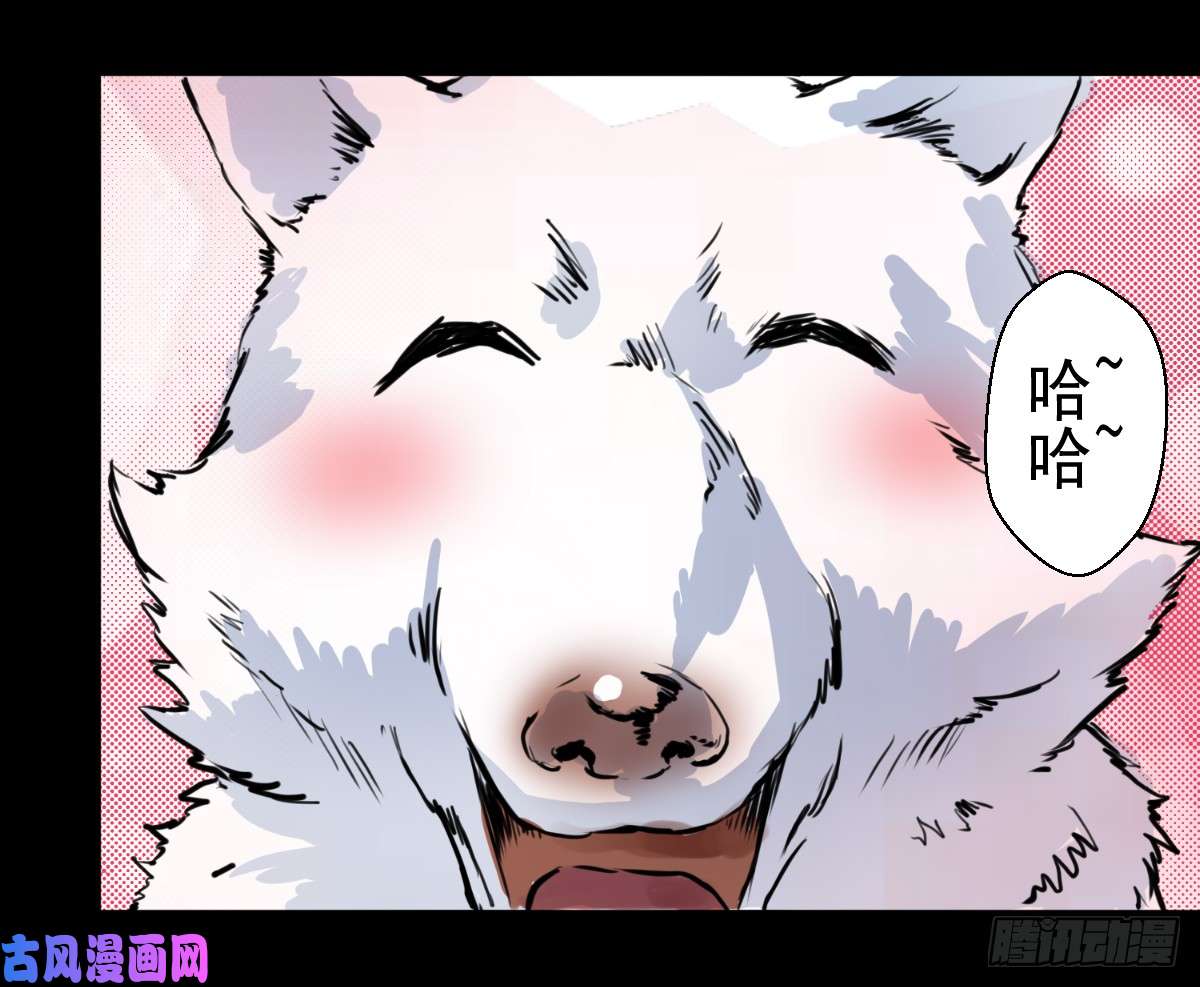 人类圈养计划合格？
