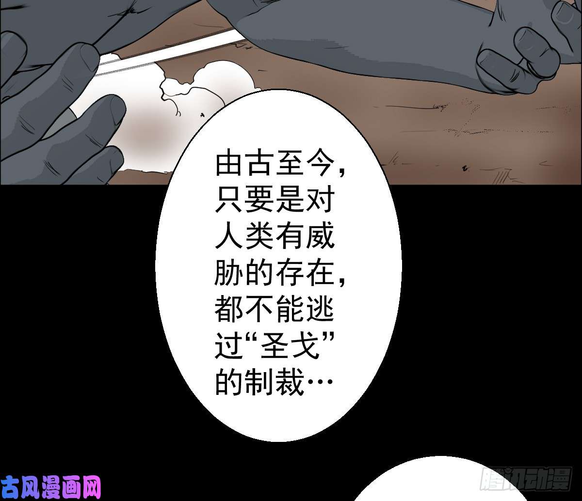 人类圈养计划蔷薇带刺