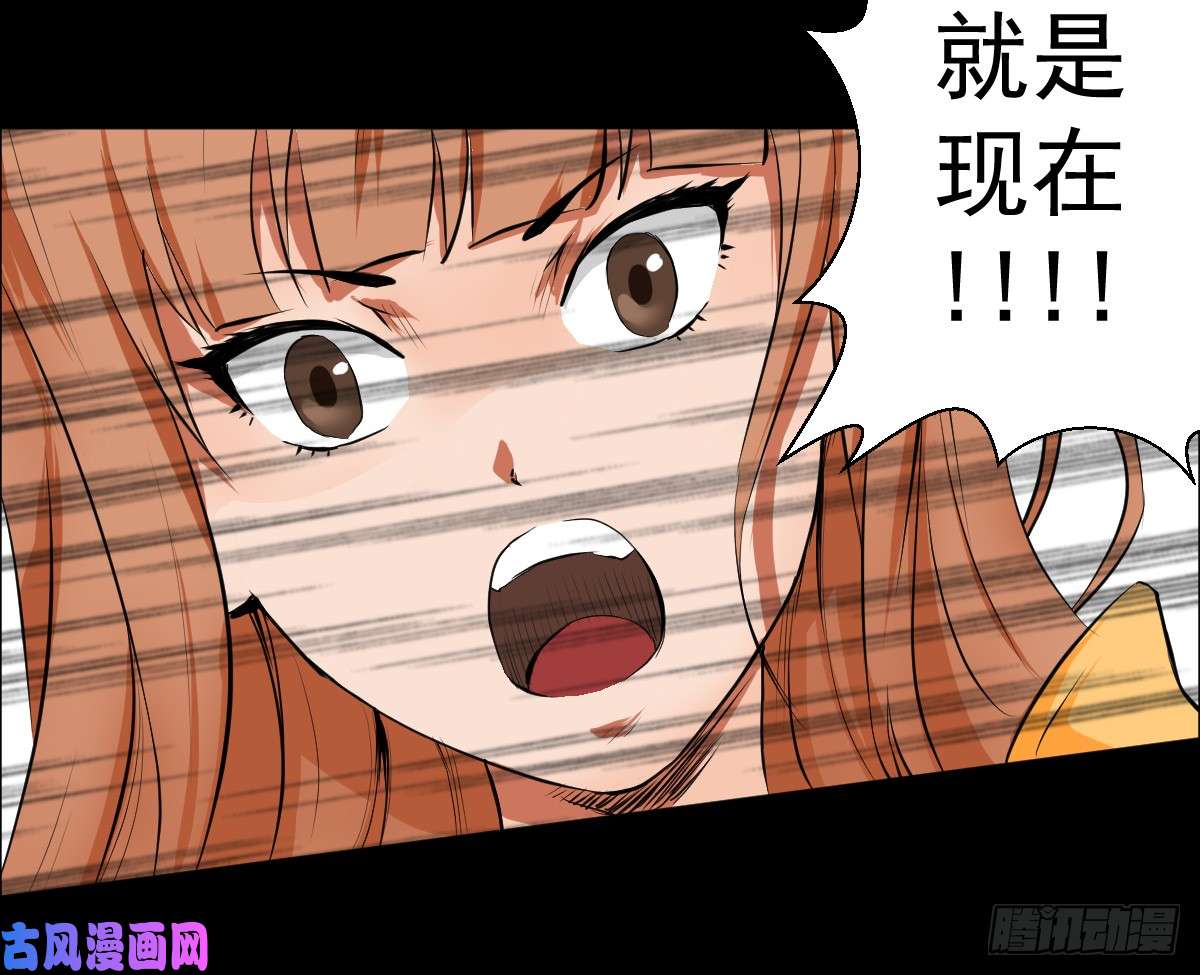 人类圈养计划蔷薇带刺