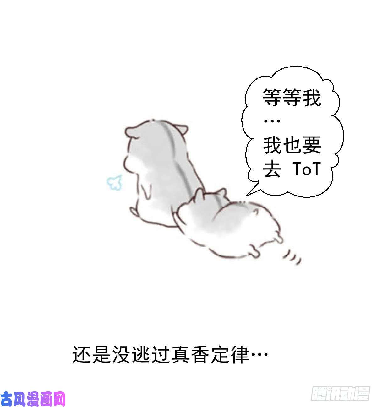 人类圈养计划公告