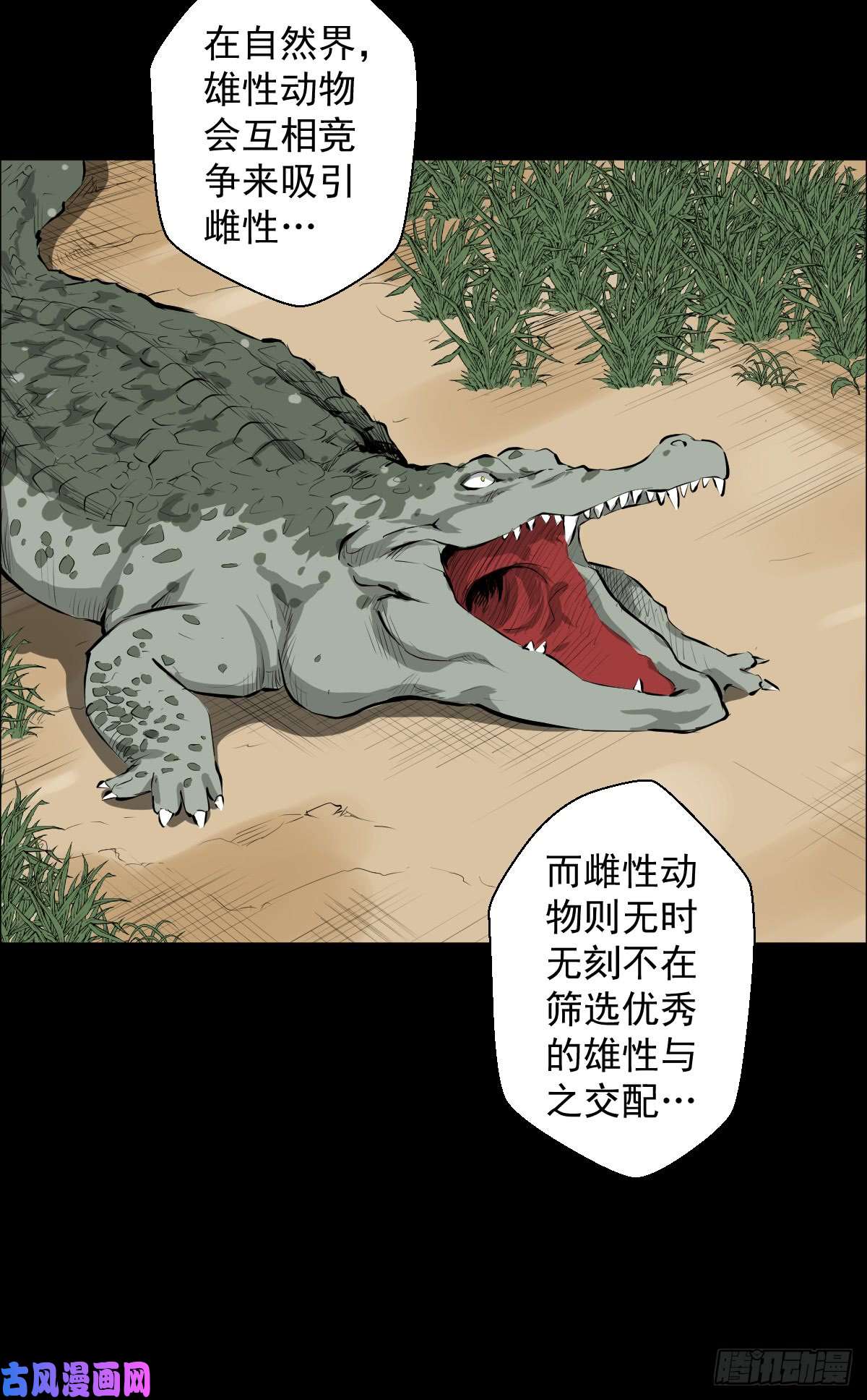 人类圈养计划女骑士的试炼