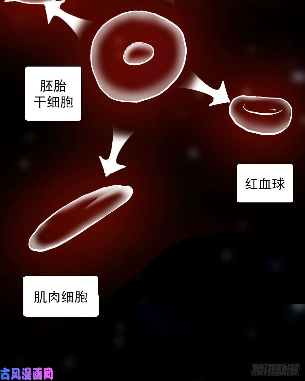 人类圈养计划变异？进化？