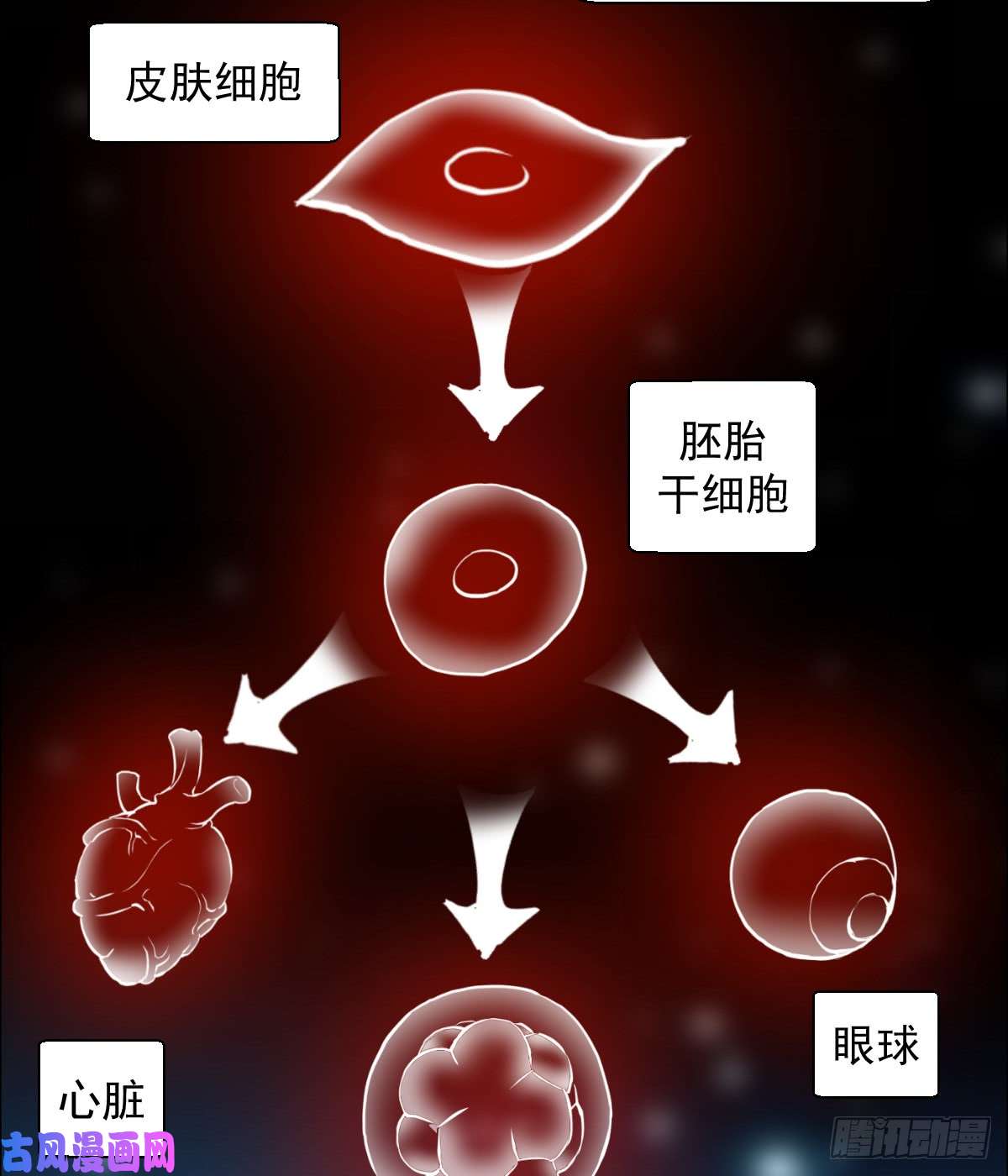 人类圈养计划变异？进化？
