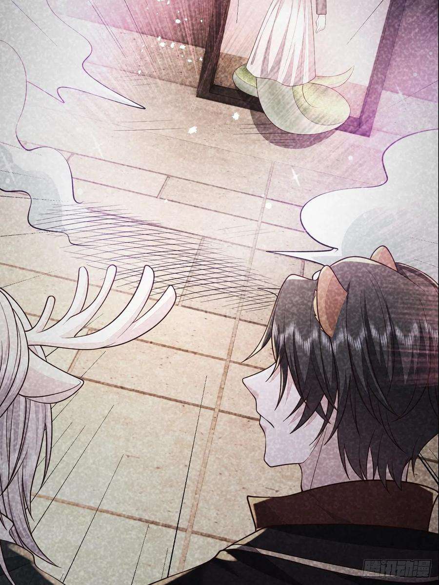 无常4843号41话