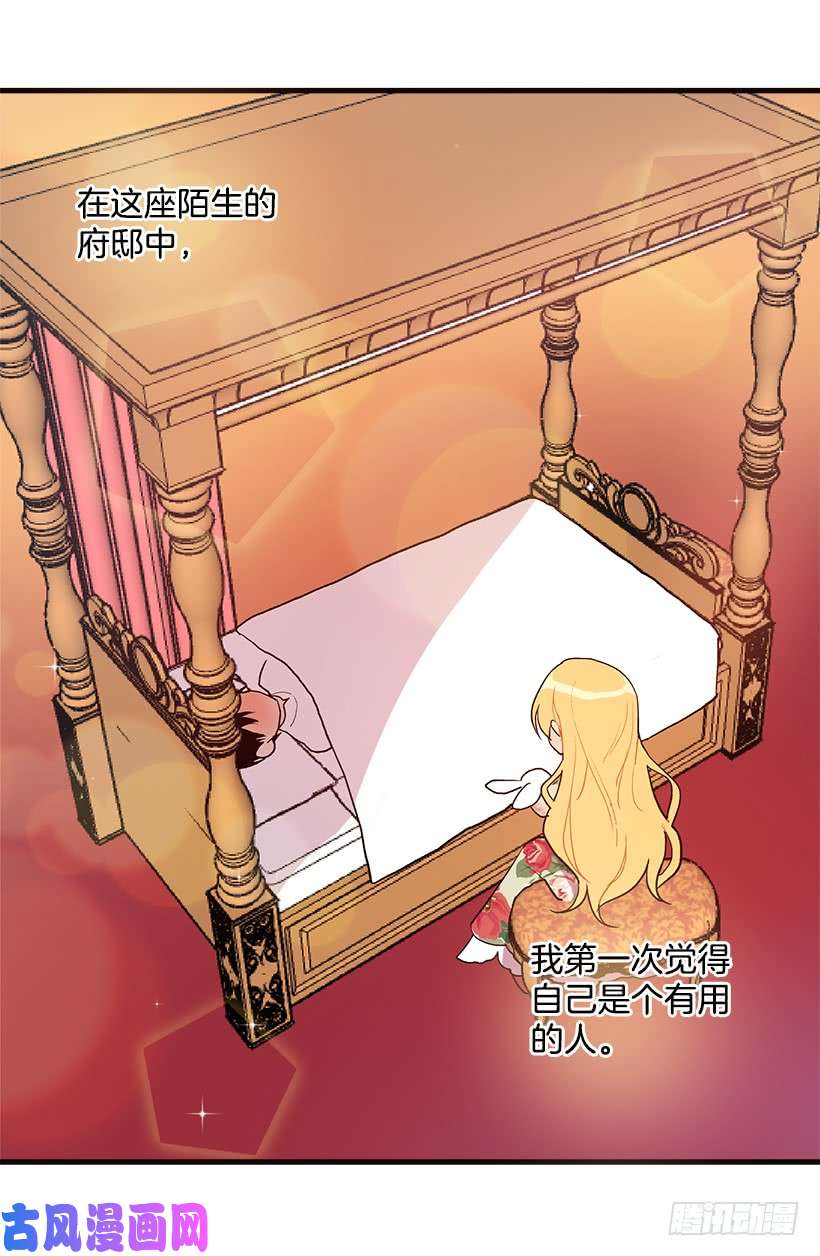 我是这家的孩子府里藏着个小哥哥