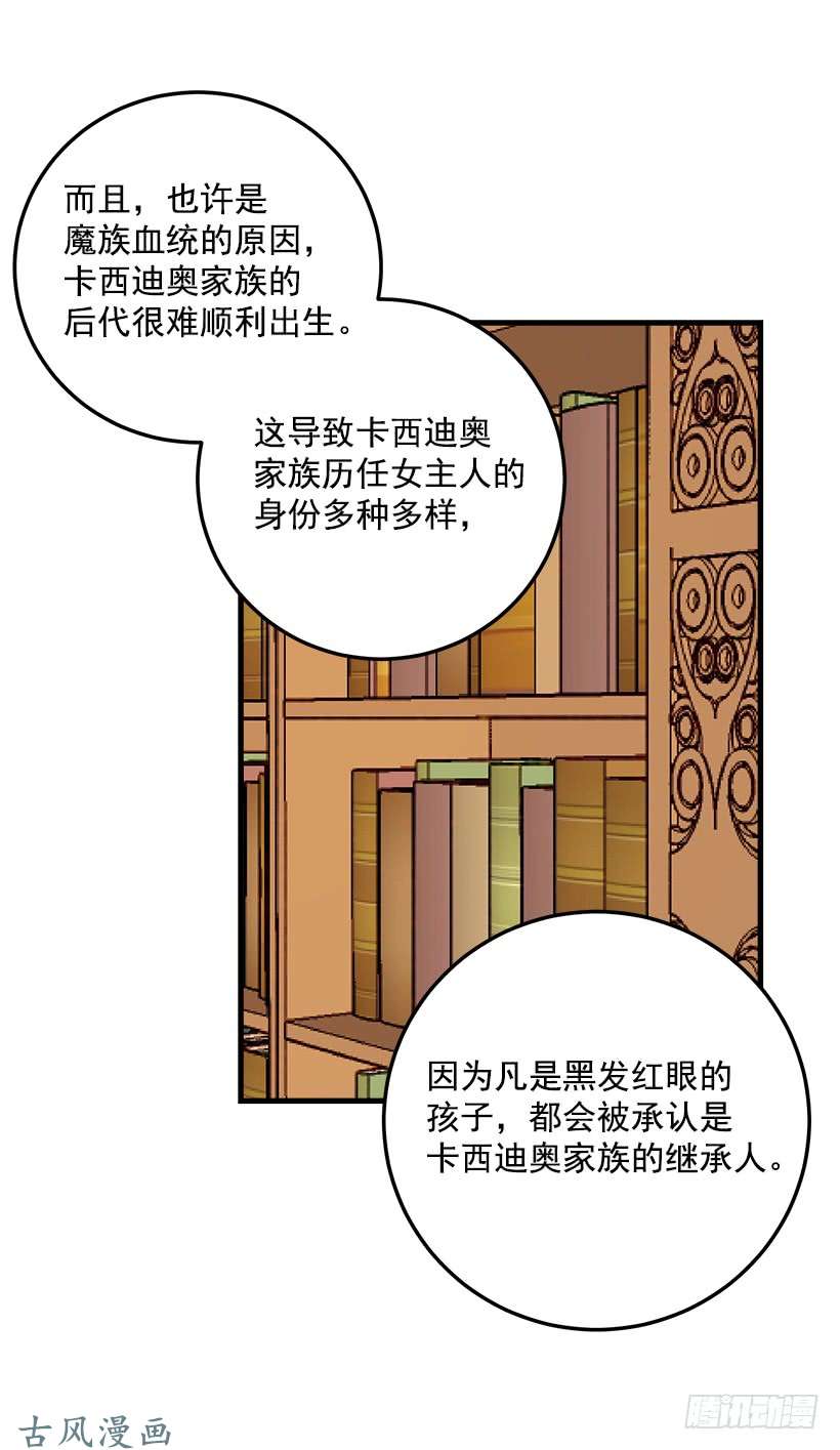我是这家的孩子公爵家族的秘密