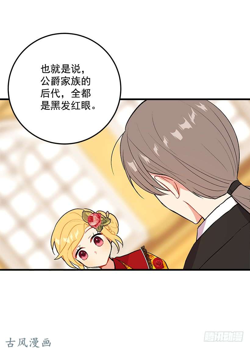 我是这家的孩子公爵家族的秘密