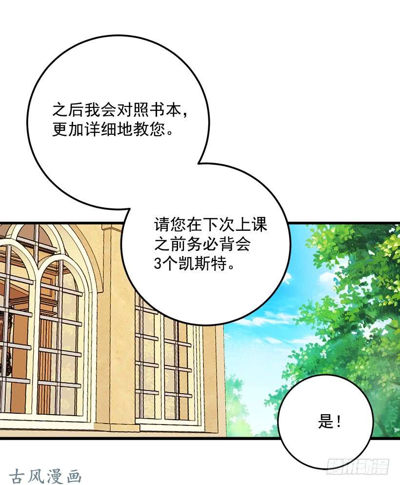 我是这家的孩子公爵家族的秘密