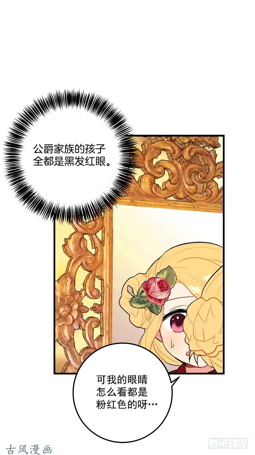 我是这家的孩子公爵家族的秘密