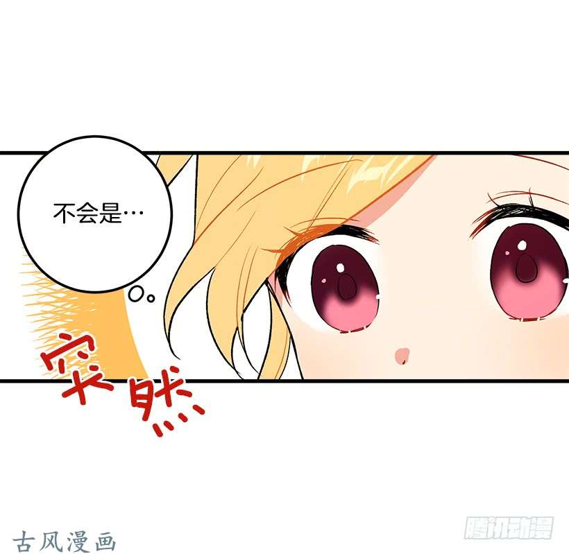 我是这家的孩子公爵家族的秘密