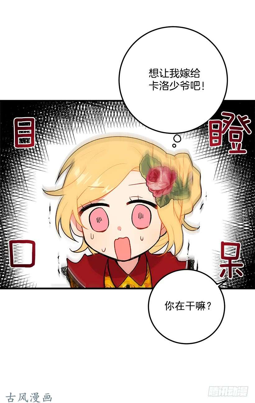 我是这家的孩子公爵家族的秘密