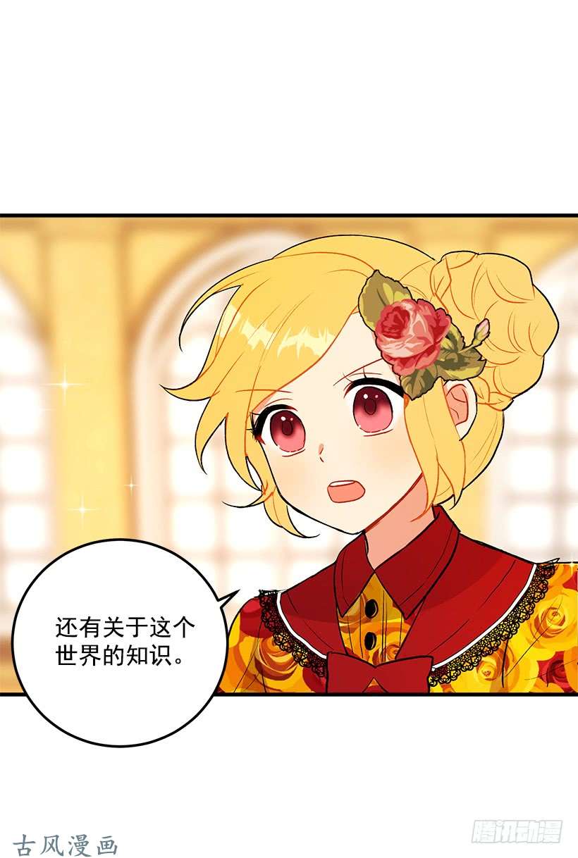 我是这家的孩子公爵家族的秘密