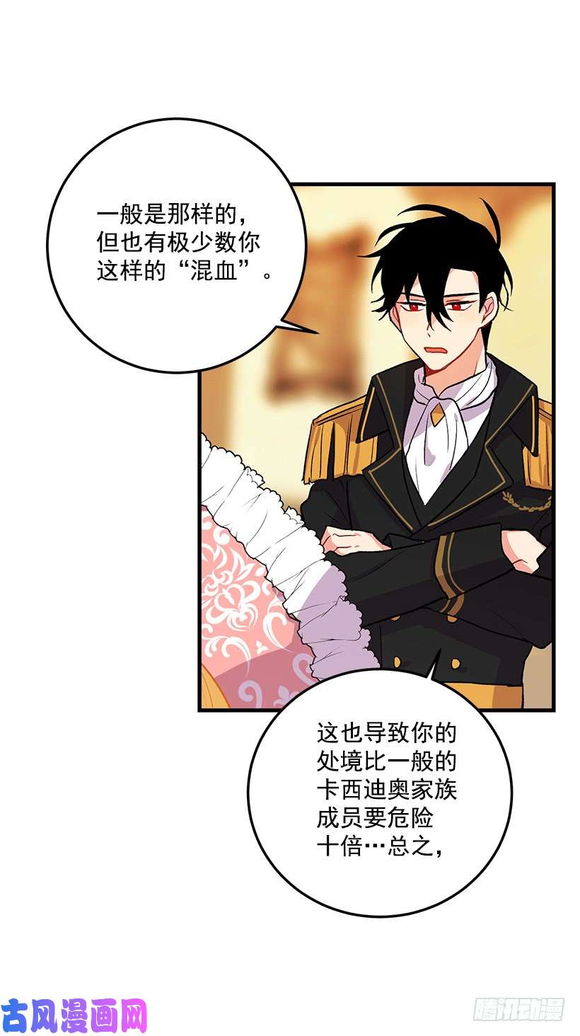 我是这家的孩子我就是公爵千金