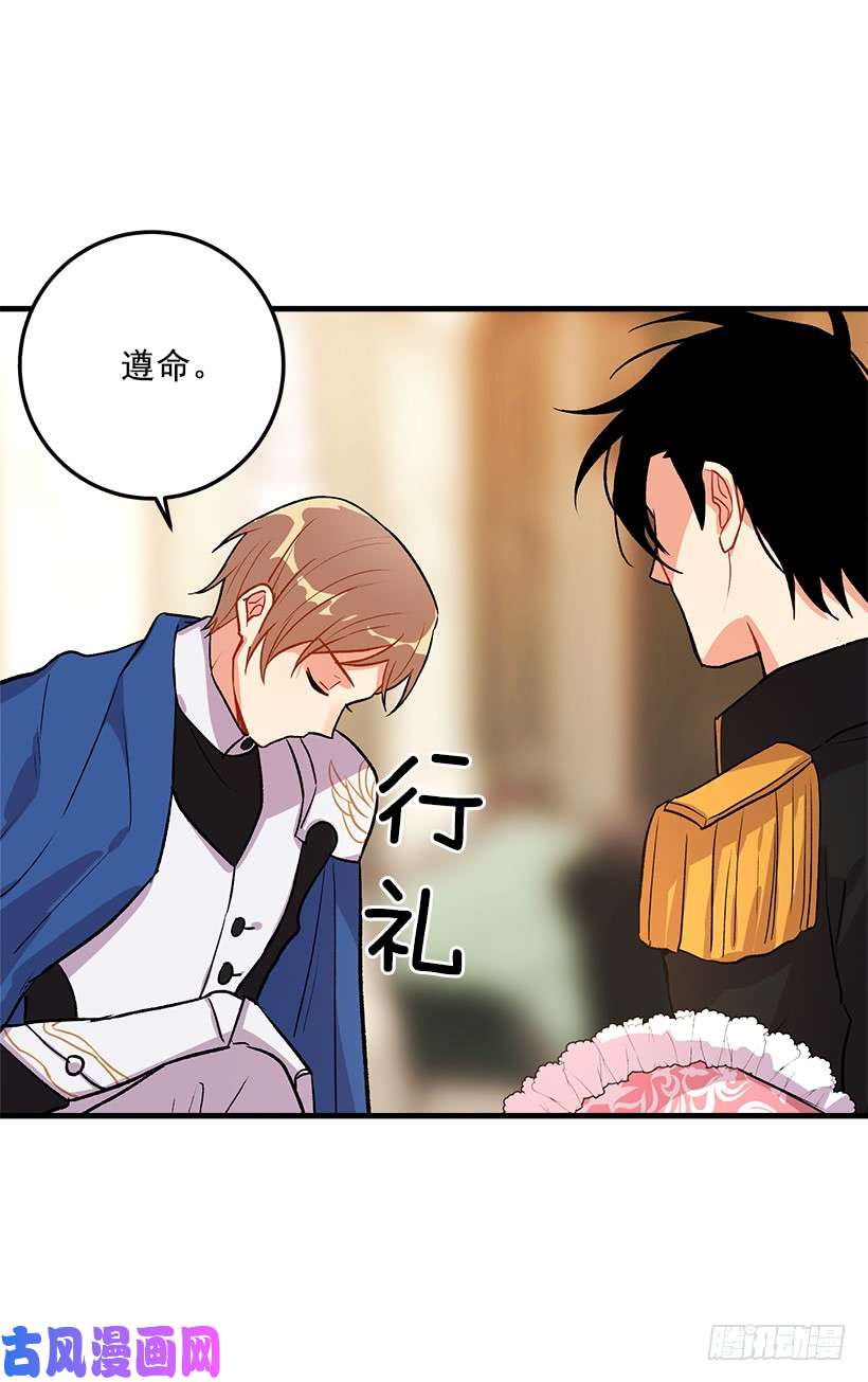 我是这家的孩子我就是公爵千金