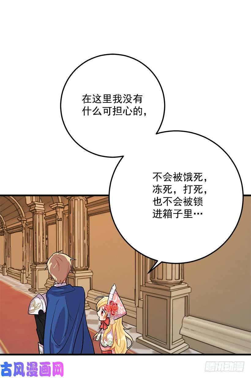 我是这家的孩子贴身骑士埃默尔