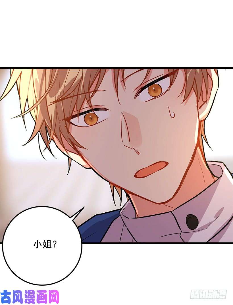 我是这家的孩子贴身骑士埃默尔