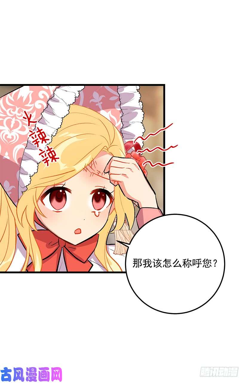 我是这家的孩子贴身骑士埃默尔