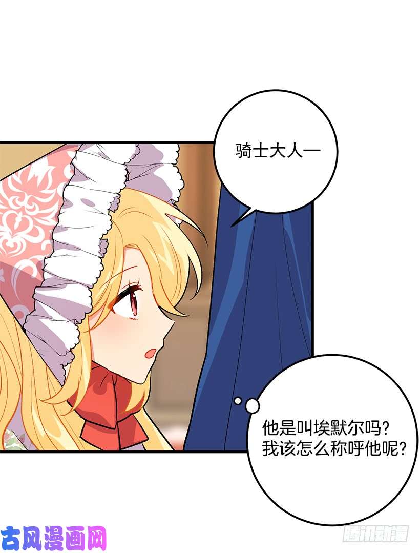 我是这家的孩子贴身骑士埃默尔