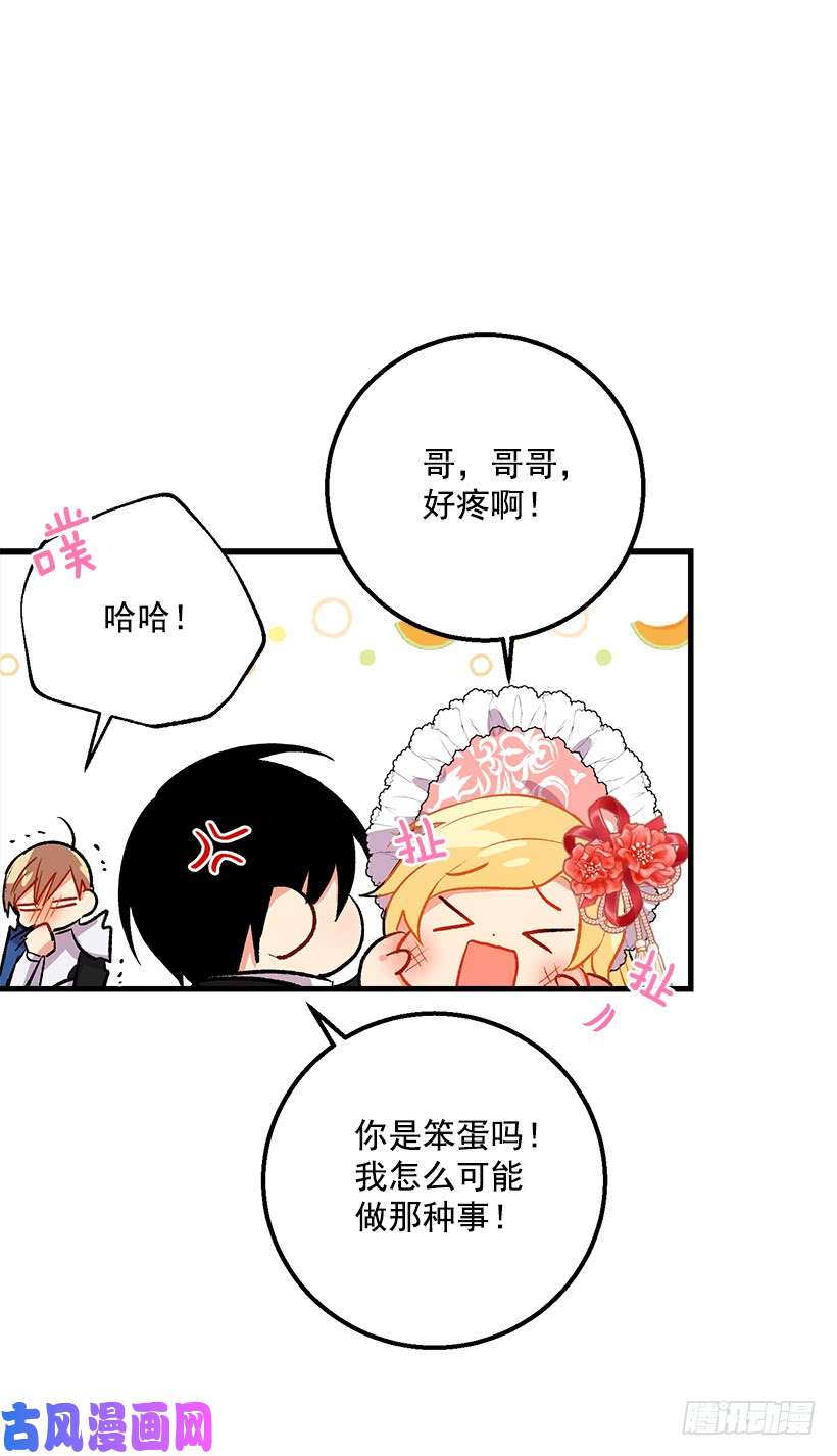 我是这家的孩子贴身骑士埃默尔