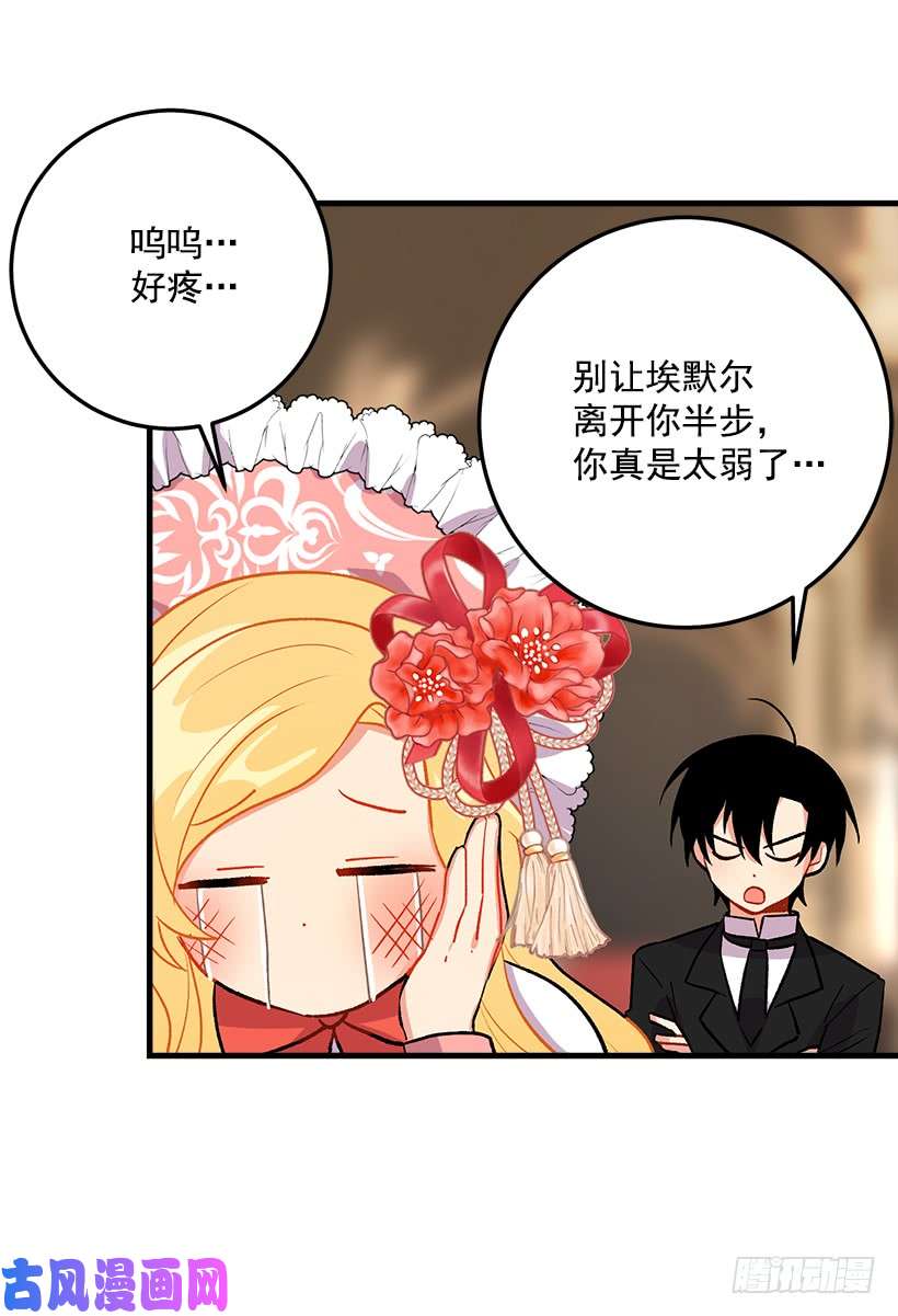 我是这家的孩子贴身骑士埃默尔