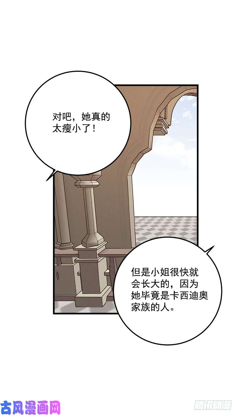 我是这家的孩子贴身骑士埃默尔