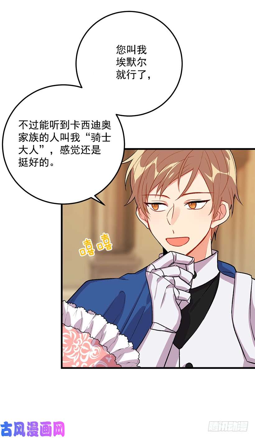 我是这家的孩子贴身骑士埃默尔