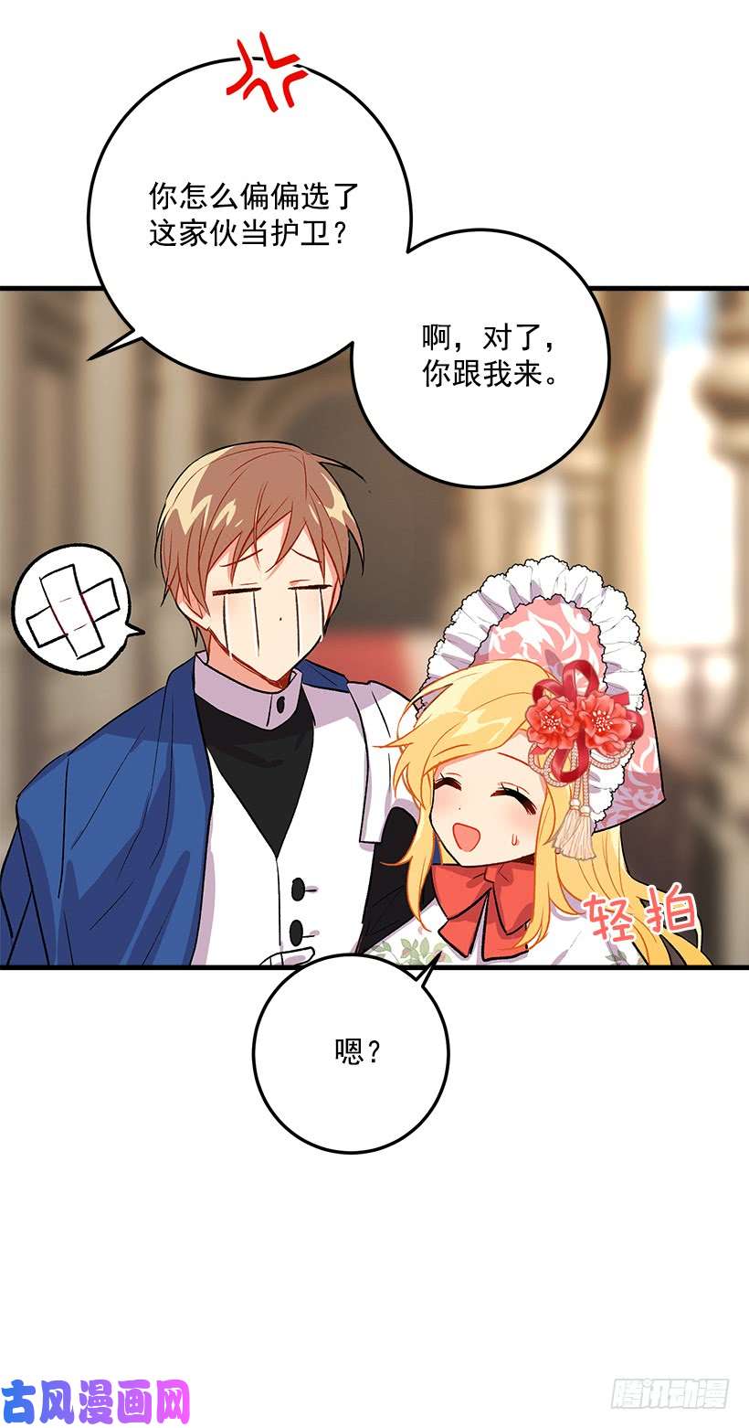 我是这家的孩子贴身骑士埃默尔