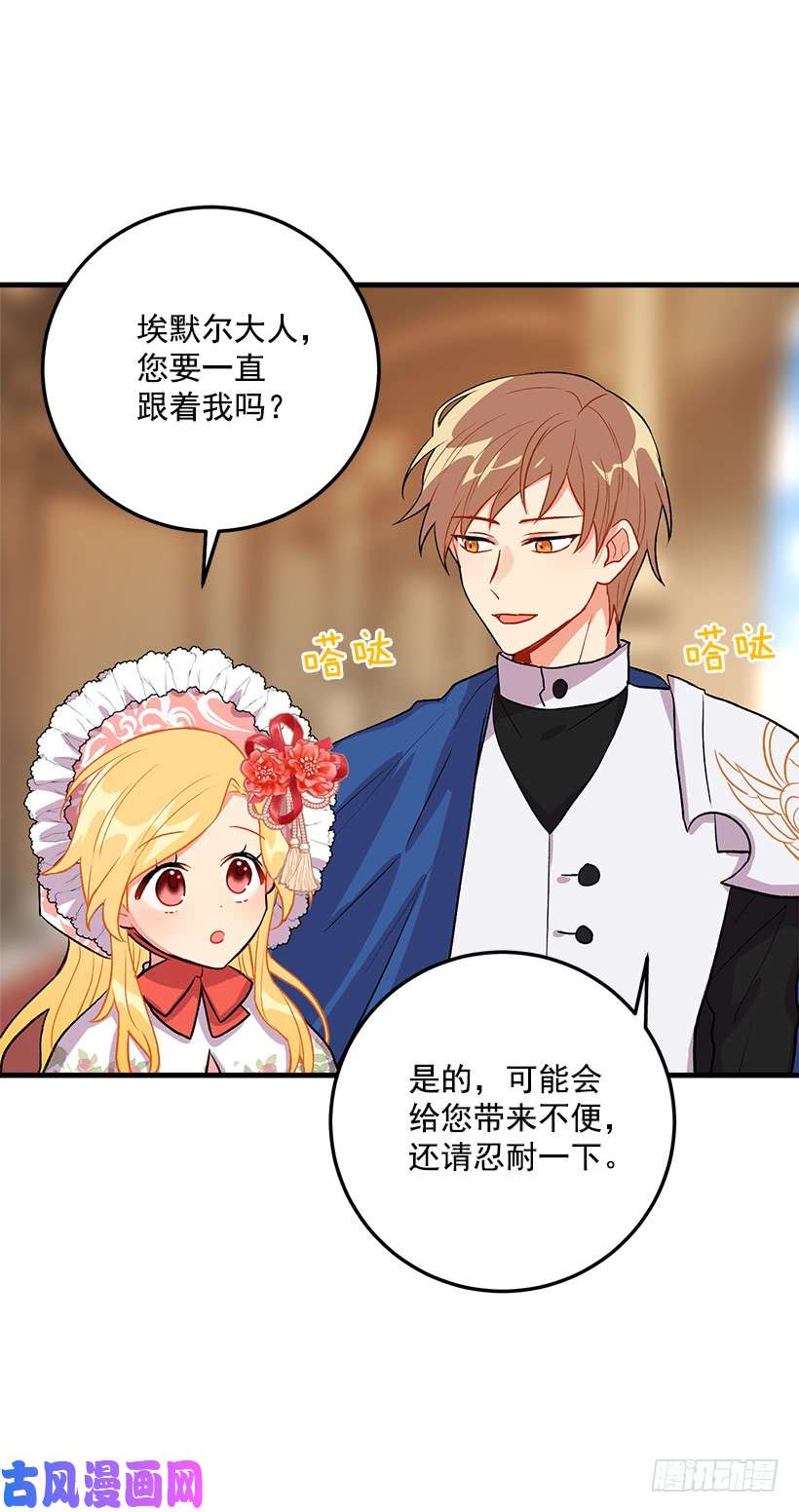 我是这家的孩子贴身骑士埃默尔