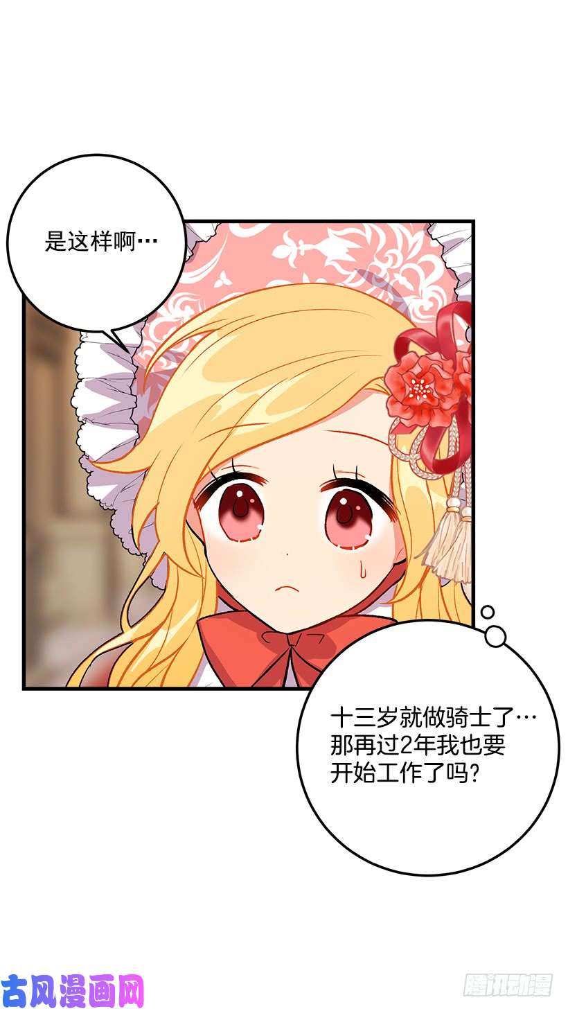我是这家的孩子贴身骑士埃默尔