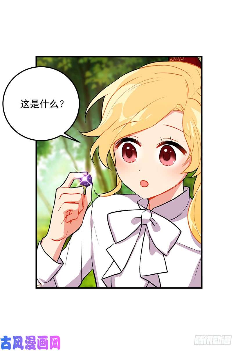 我是这家的孩子精灵石