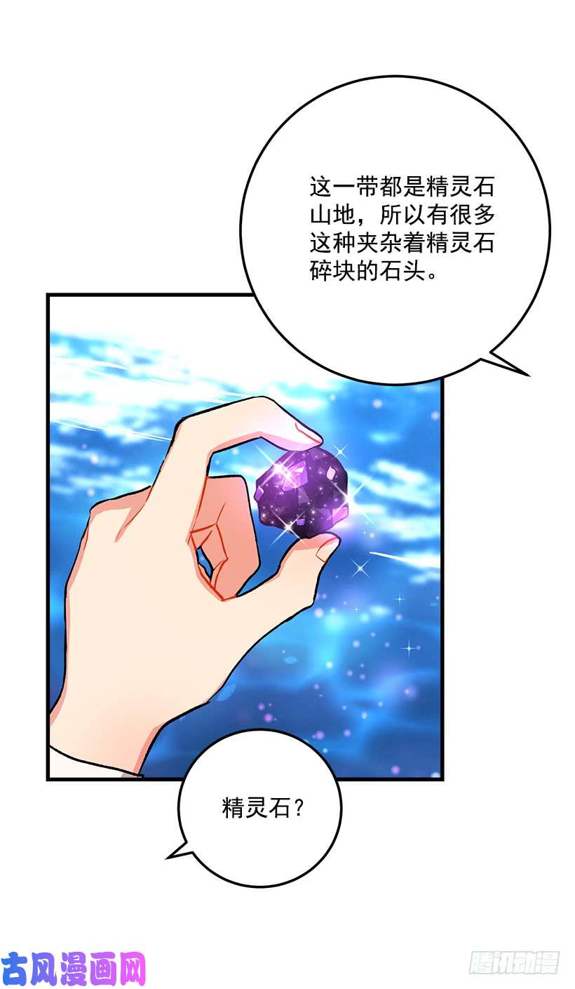 我是这家的孩子精灵石