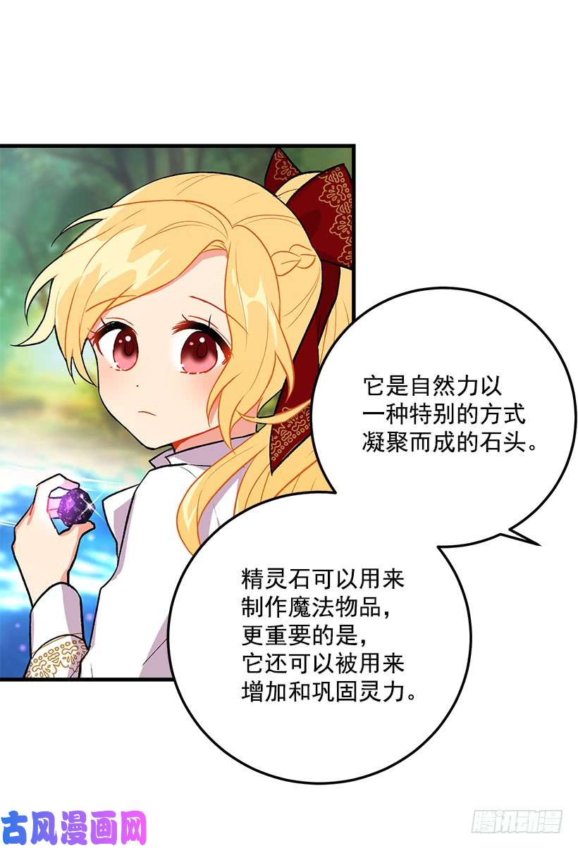 我是这家的孩子精灵石