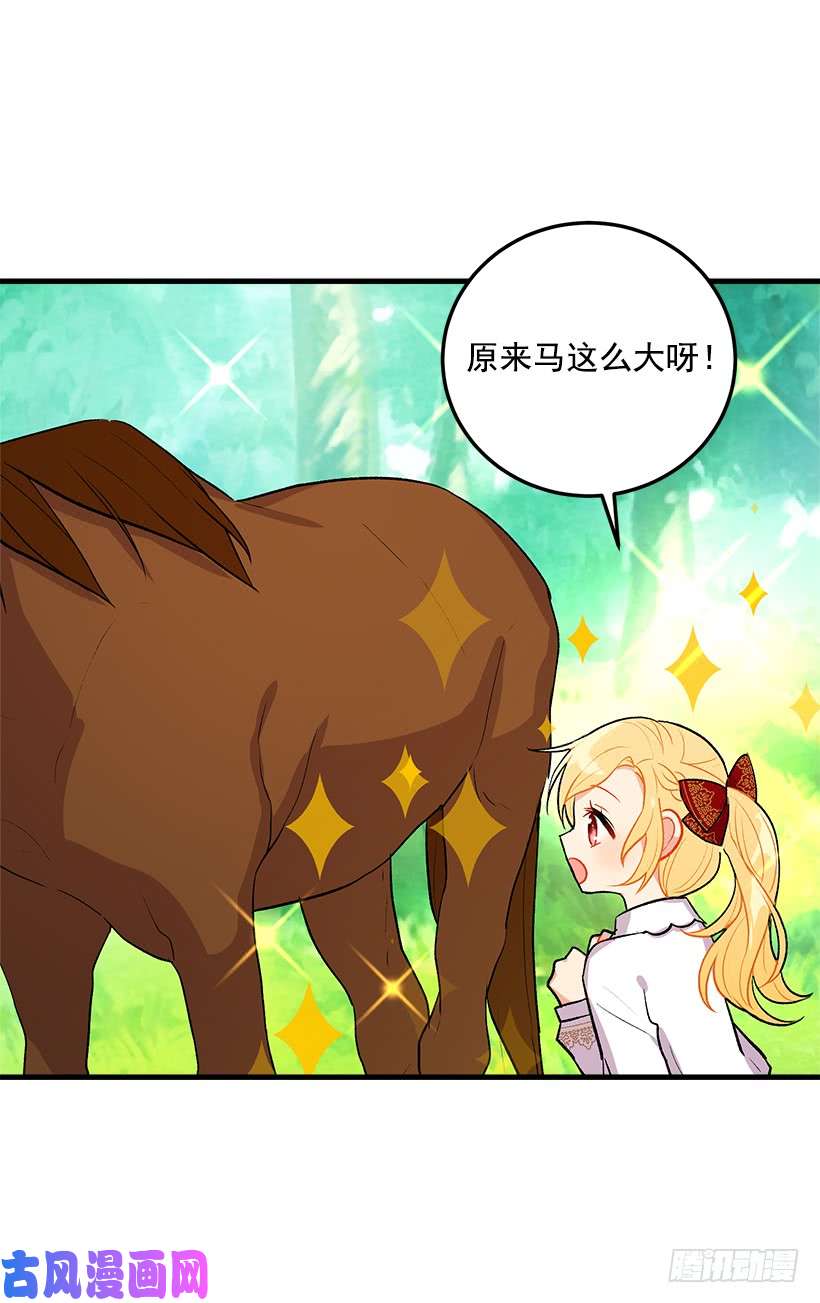 我是这家的孩子精灵石