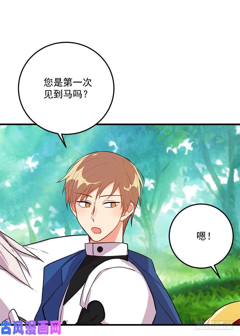 我是这家的孩子精灵石