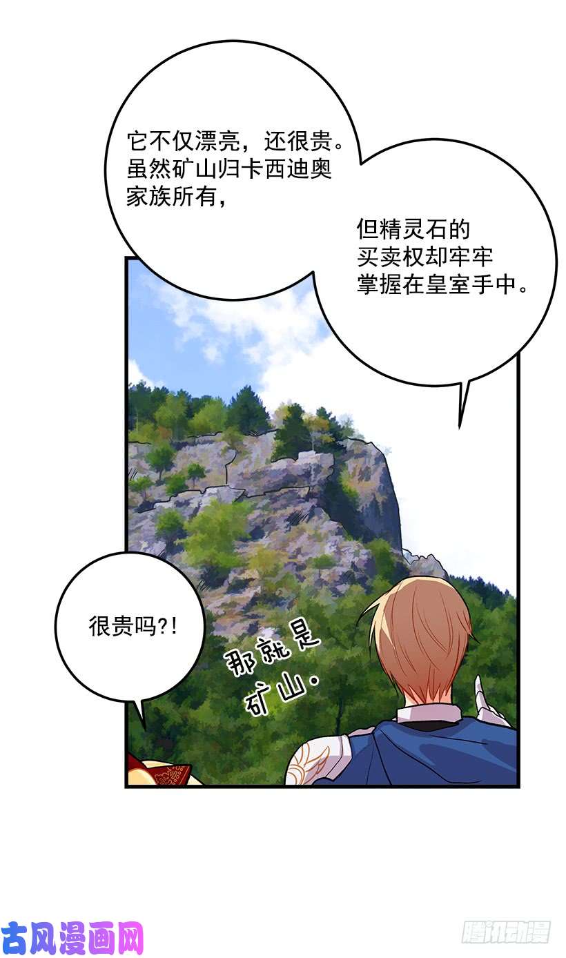 我是这家的孩子成为国王的人