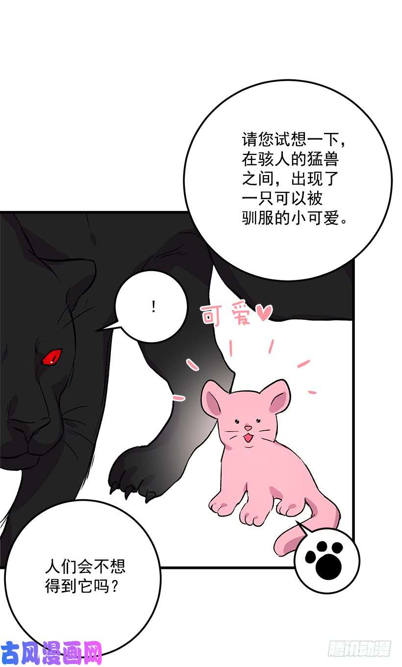 我是这家的孩子成为国王的人