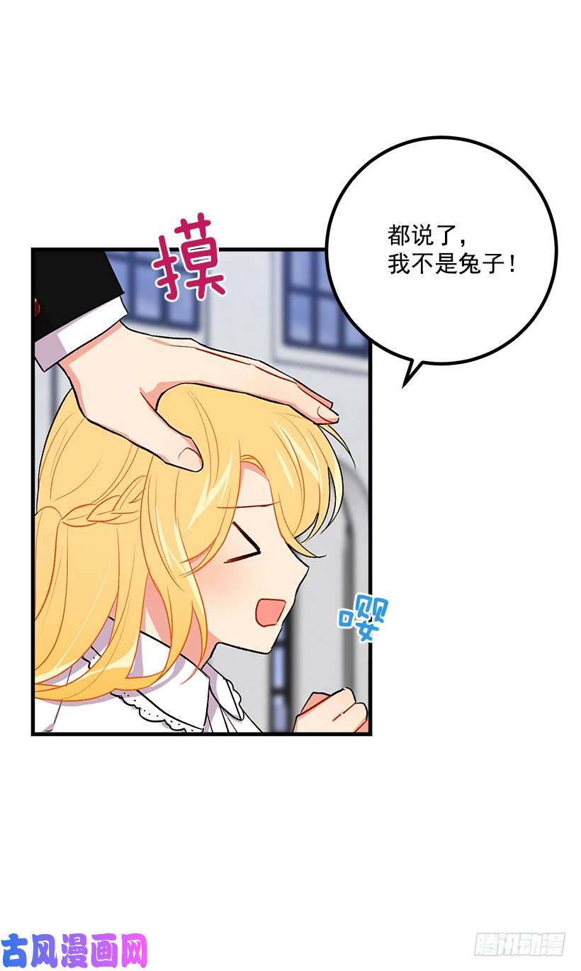 我是这家的孩子哥哥别走